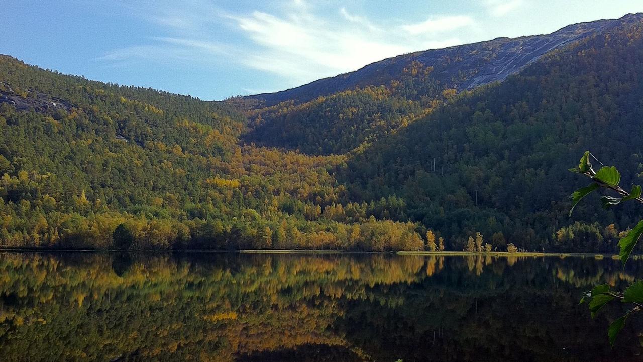 Tommerneset Camping Hotel Innhavet Kültér fotó