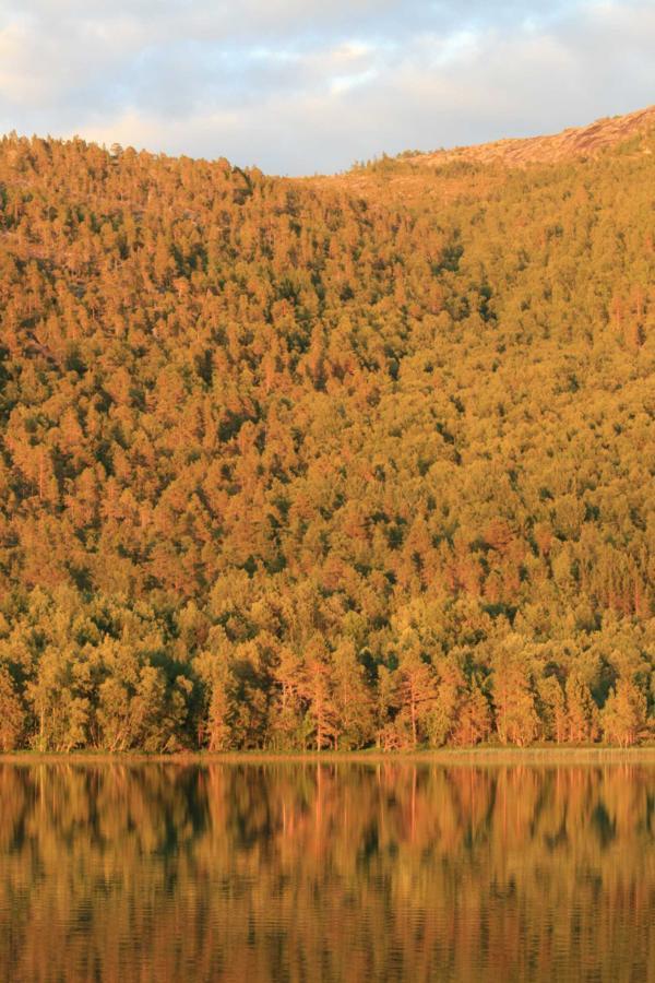 Tommerneset Camping Hotel Innhavet Kültér fotó